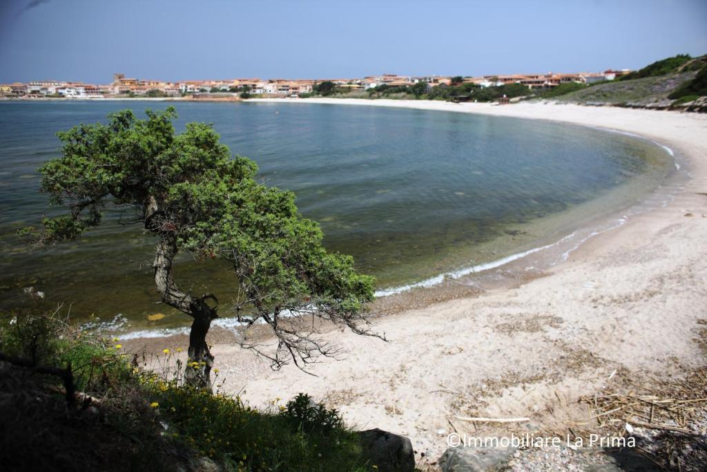 Appartamenti Ideal Isola Rossa Eksteriør bilde